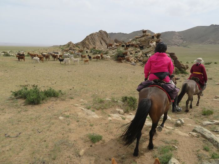 Gobi Steppe Ride