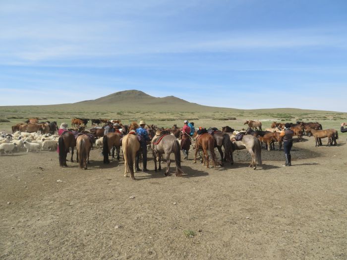 Gobi Steppe Ride