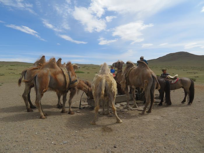 Gobi Steppe Ride