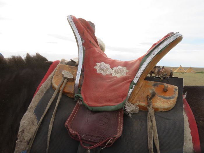 Gobi Steppe Ride