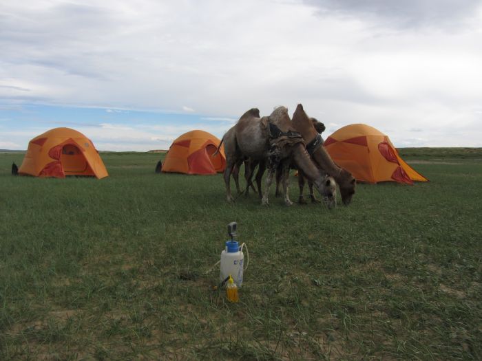 Gobi Steppe Ride