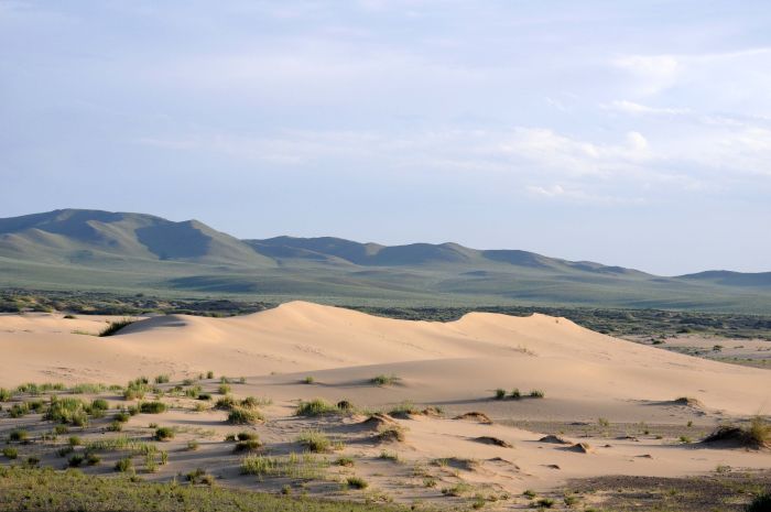 Gobi Steppe Ride