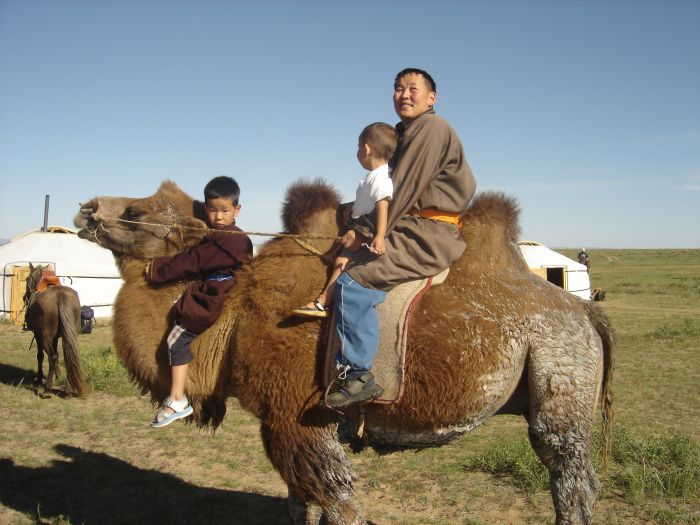 Gobi Steppe Ride