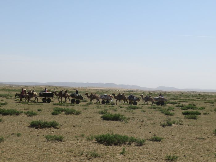 Gobi Steppe Ride