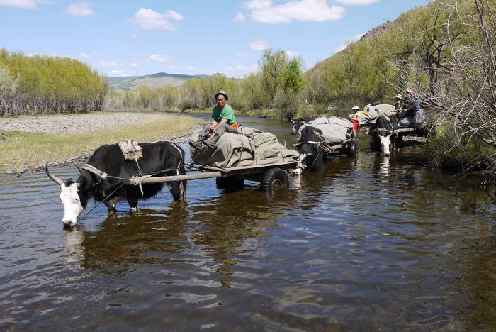 Mongolia Steppe Expedition