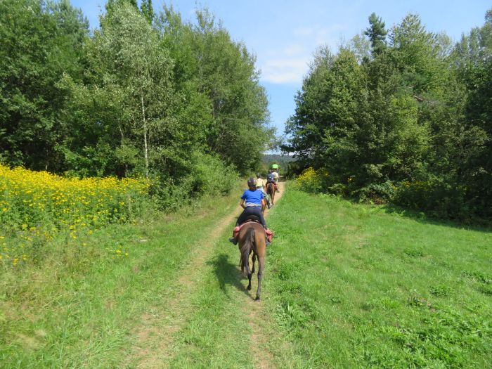Bieszczady Trail: Poland´s lonely east