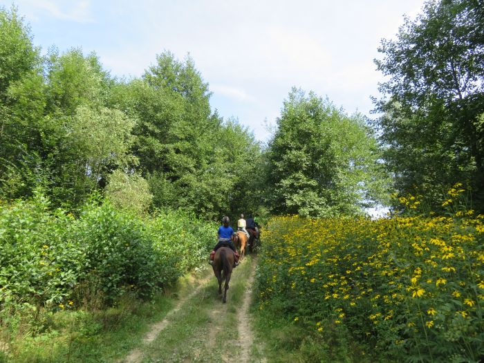Adventure trail through eastern Poland