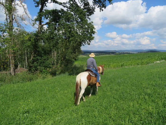 Western riding holiday in West Bohemia