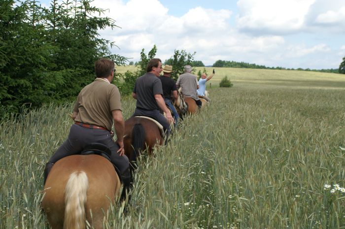 Western riding holiday in West Bohemia