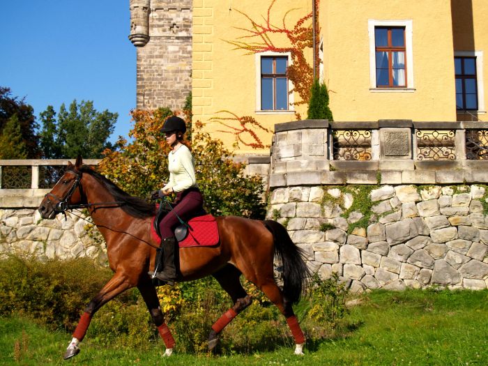 Fairytale castle in Lower Silesia
