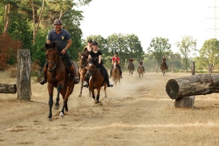 Star rides through De Meinweg National Park
