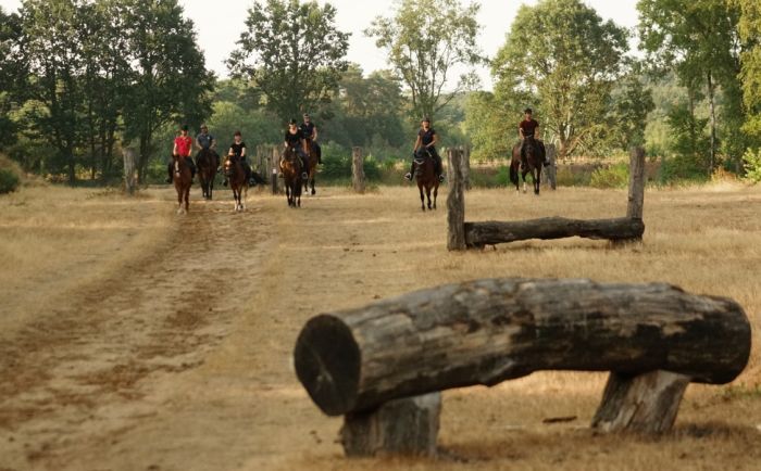 Star rides through De Meinweg National Park