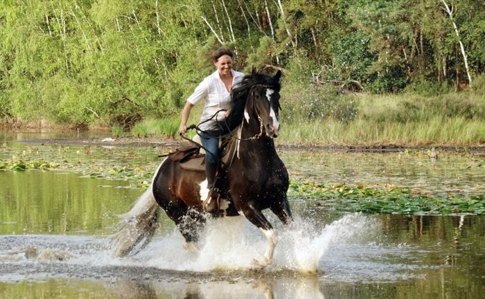 Star rides through De Meinweg National Park