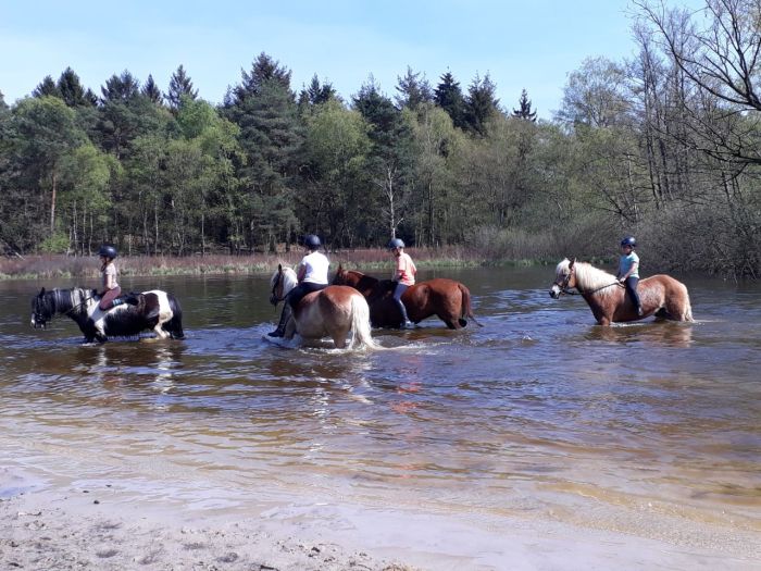 Star rides through De Meinweg National Park
