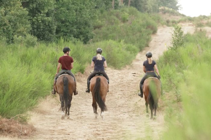 Star rides through De Meinweg National Park