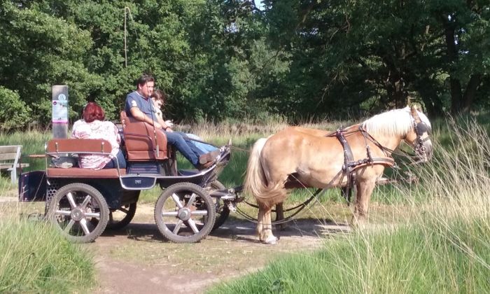Star rides through De Meinweg National Park