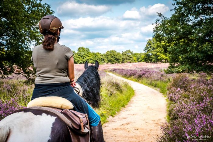 Star rides through De Meinweg National Park