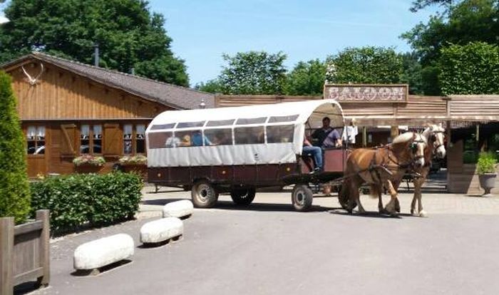 Star rides through De Meinweg National Park