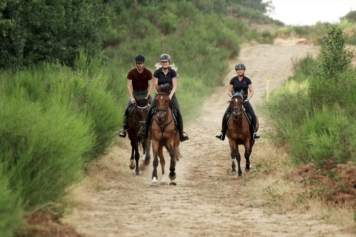 Star rides through De Meinweg National Park