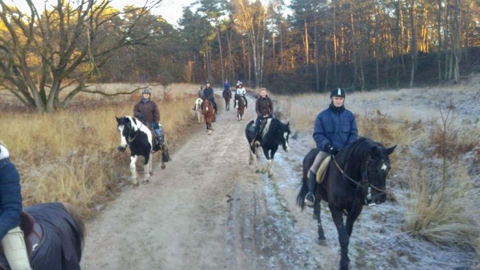 Star rides through De Meinweg National Park