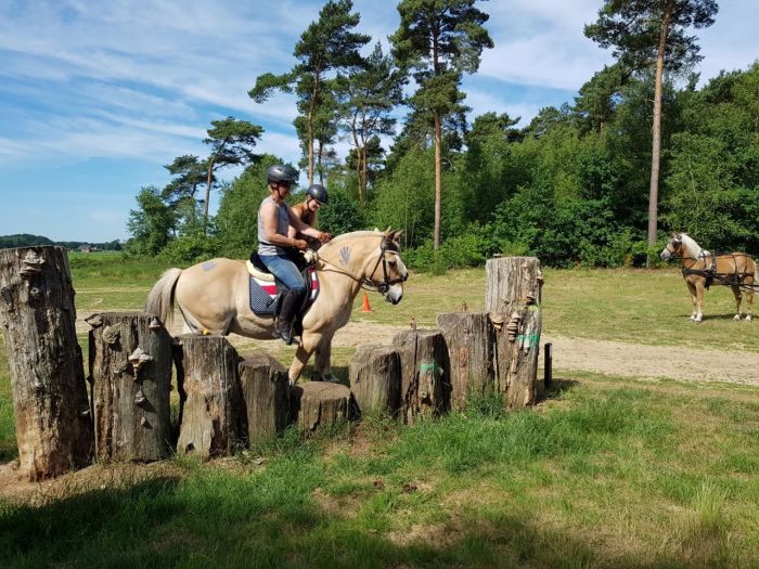 Star rides through De Meinweg National Park