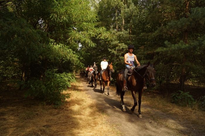 Star rides through De Meinweg National Park
