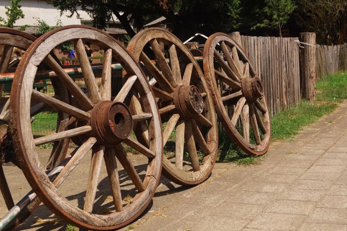 Star rides through De Meinweg National Park
