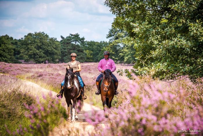 Star rides through De Meinweg National Park