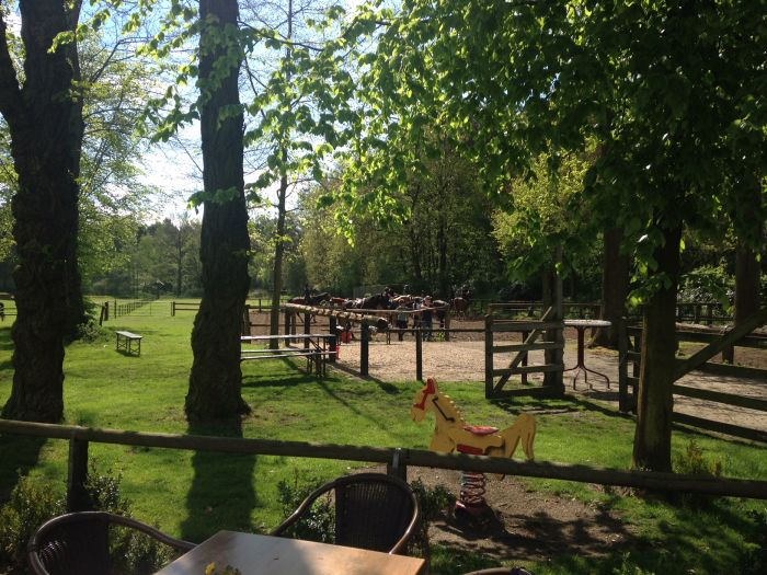 Star rides through De Meinweg National Park