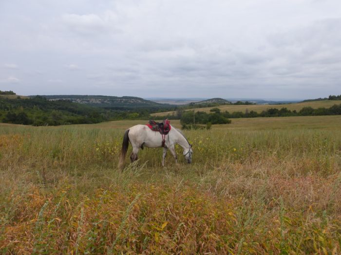 Bulgaria's wilderness