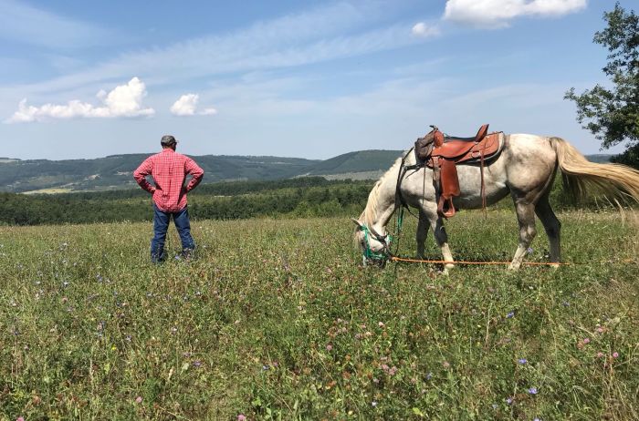 Bulgaria's wilderness