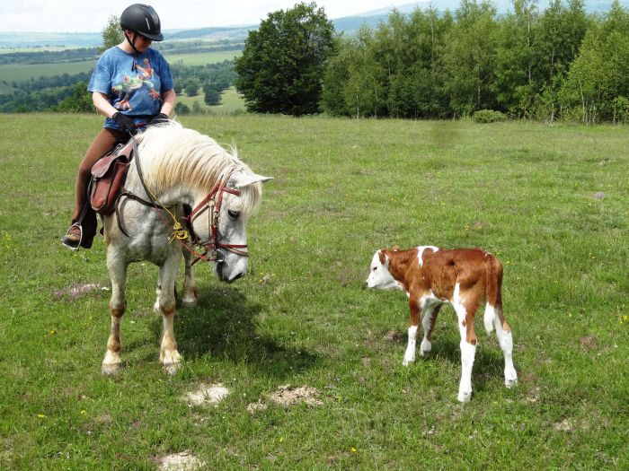 Transylvania Trail with comfort