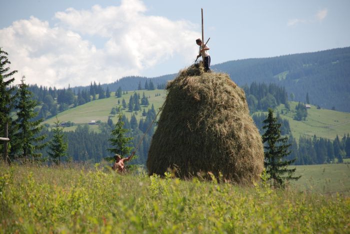 Transylvania Trail with comfort