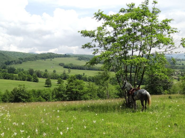 Transylvania Trail with comfort