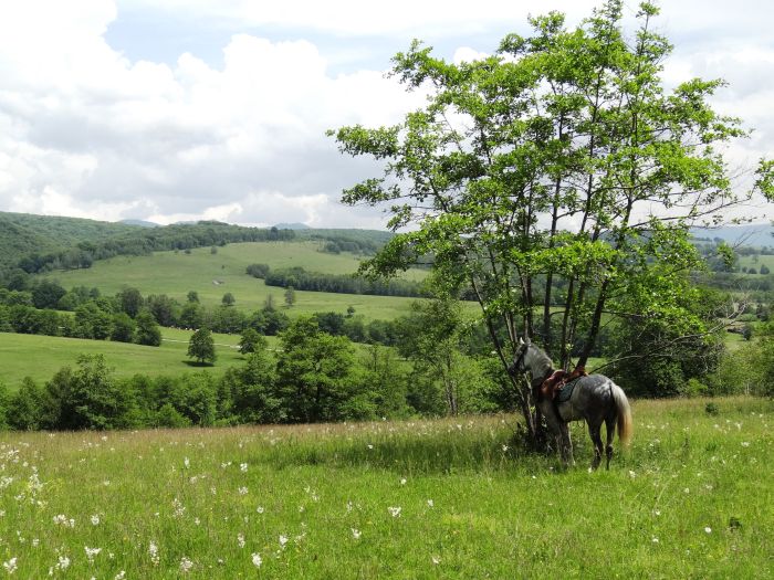 Transylvania Culture and Nature Trail