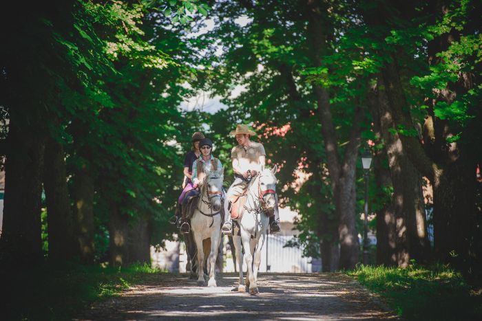 Transylvania Trail with comfort