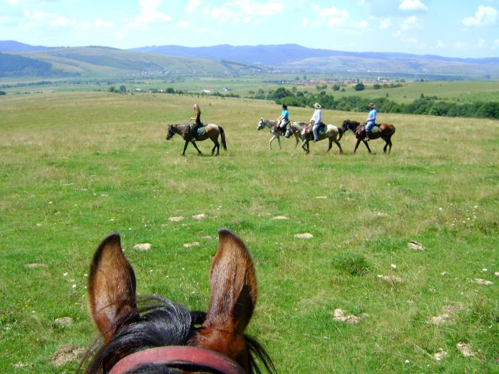 Transylvania Trail with comfort