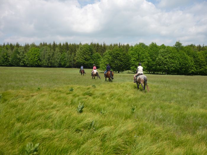 Transylvania Trail with comfort