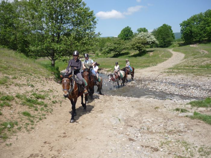 Transylvania Trail with comfort