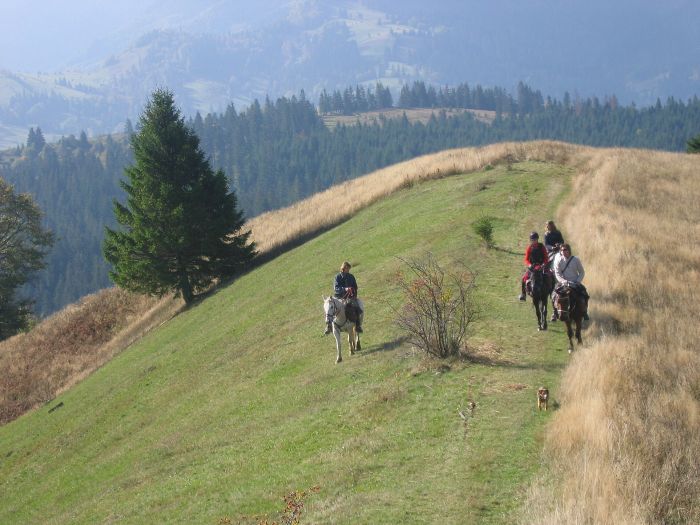 Transylvania Trail with comfort