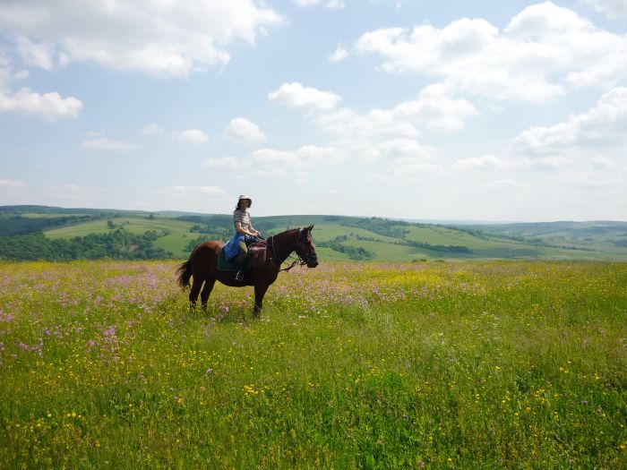 Transylvania Trail with comfort