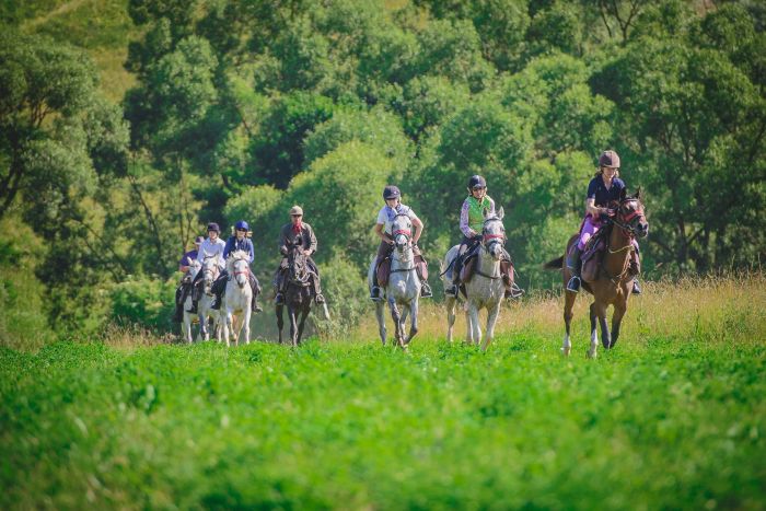 Transylvania Trail with comfort