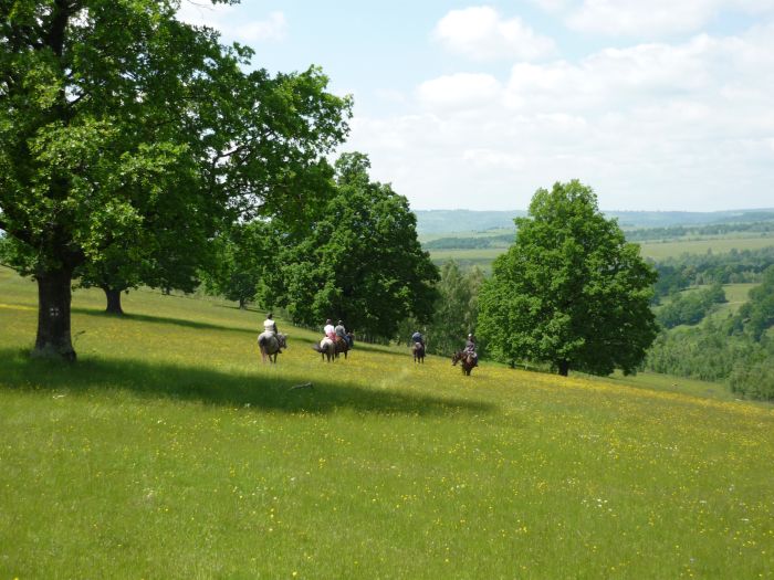 Transylvania Trail with comfort