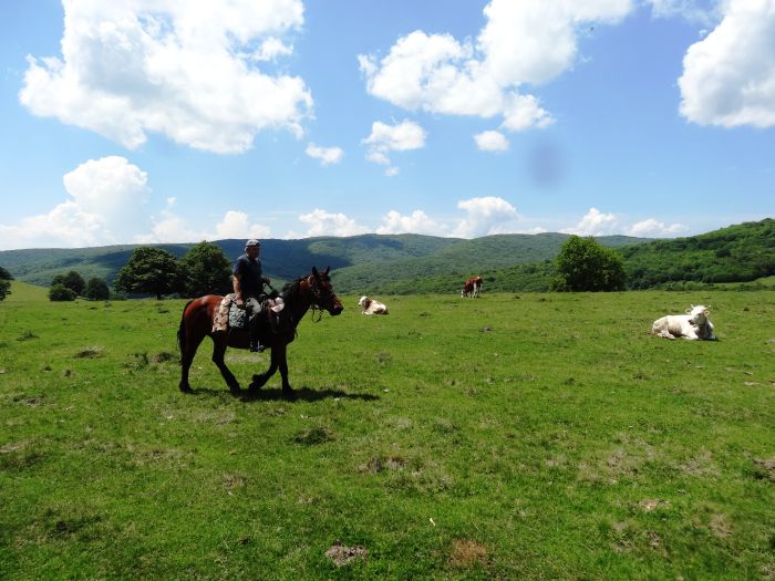 Transylvania Culture and Nature Trail