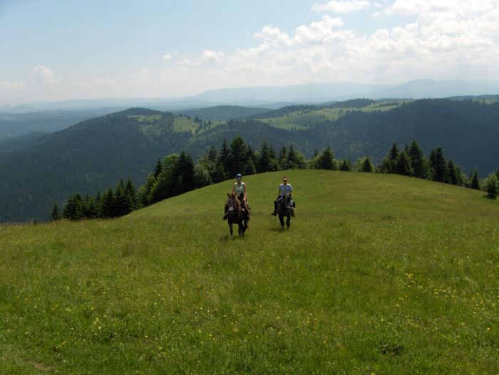 Transylvania Trail with comfort