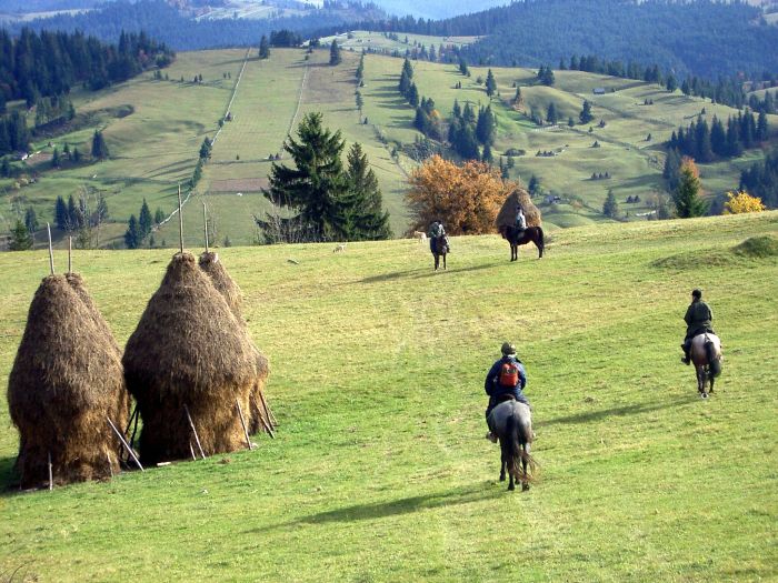 Transylvania Trail with comfort