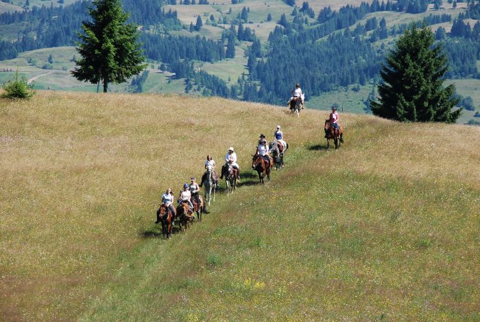 Transylvania Trail with comfort