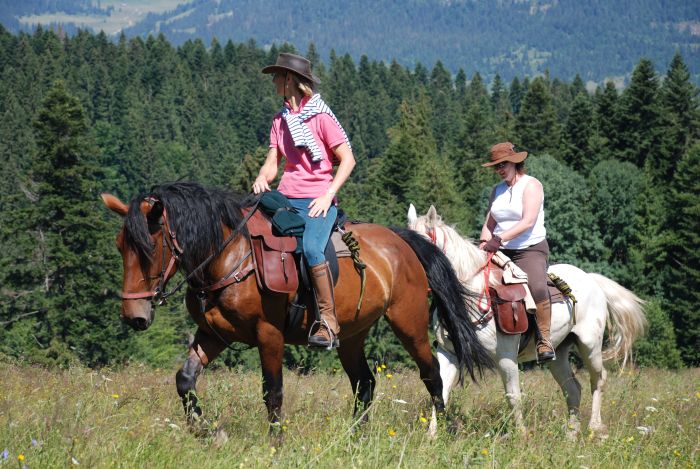 Transylvania Trail with comfort