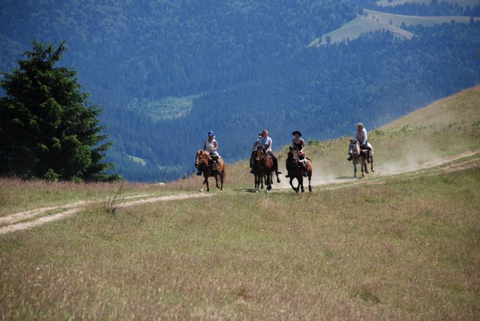 Transylvania Trail with comfort