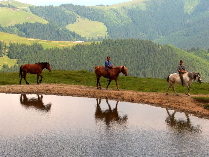 Transylvania Trail with comfort